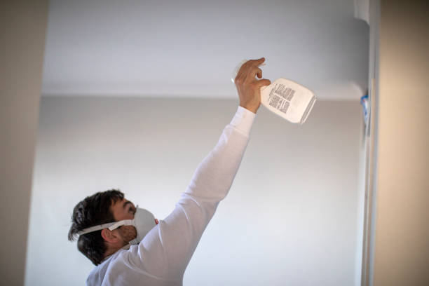 Best Attic Mold Removal  in Comstock Northwest, MI