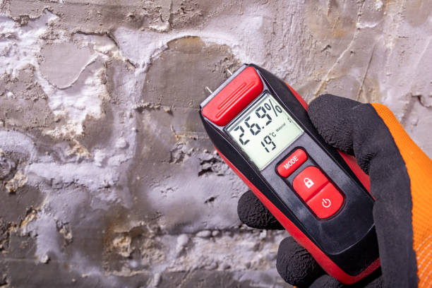 Best Water Damage Restoration  in Comstock Northwest, MI