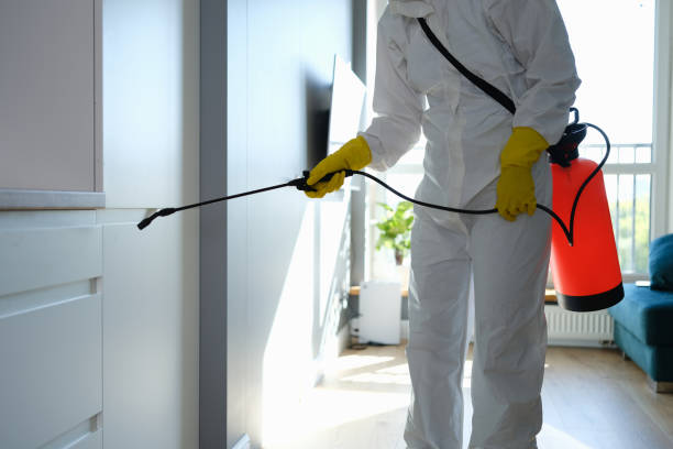 Home Mold Removal in Comstock Northwest, MI
