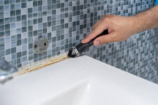 Best Home Mold Removal  in Comstock Northwest, MI