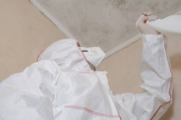 Best Mold Cleaning Services  in Comstock Northwest, MI
